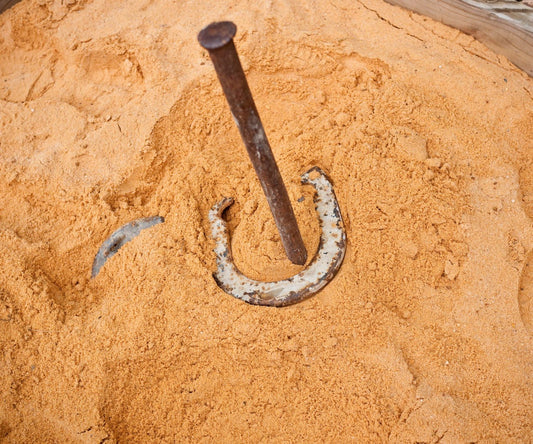 How to Play Horseshoes