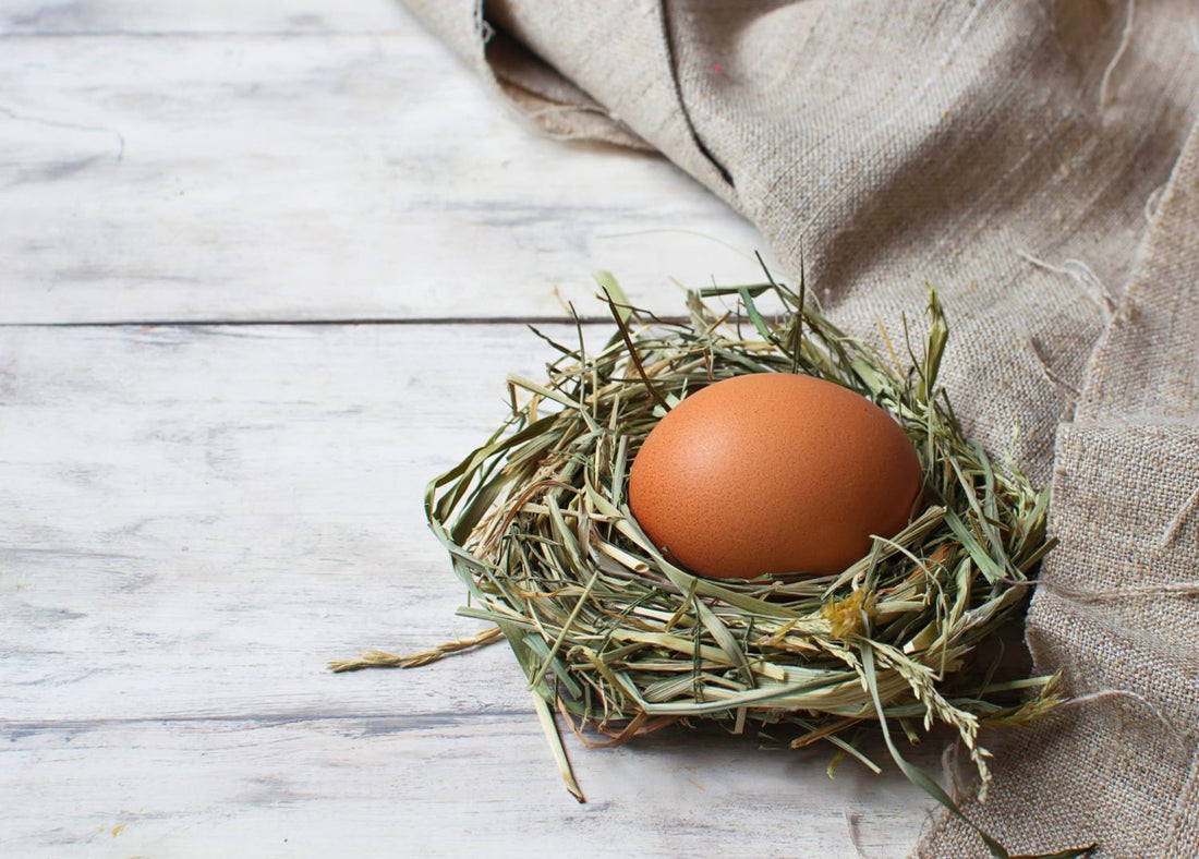 How to Play the Egg Drop Team Building Game